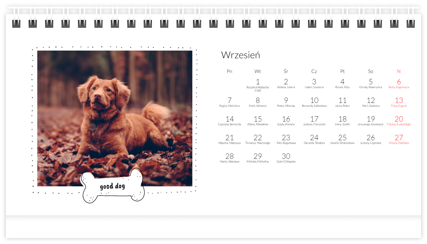 Kalendarz z psem